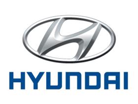 Hyundai 9250125000 - PILOTO MATRICULA