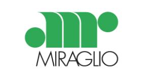 Miraglio 301071 - MIRAGLIO ELEV.ELEC.DEL.DCHO.BMW S3