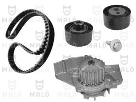 Skf 1555013 - KIT P.ACQ.C5/206/307/607/HDI